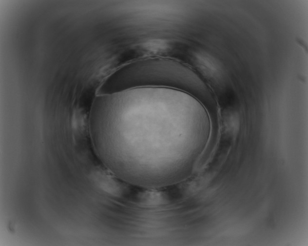 X0000095690276200801081254