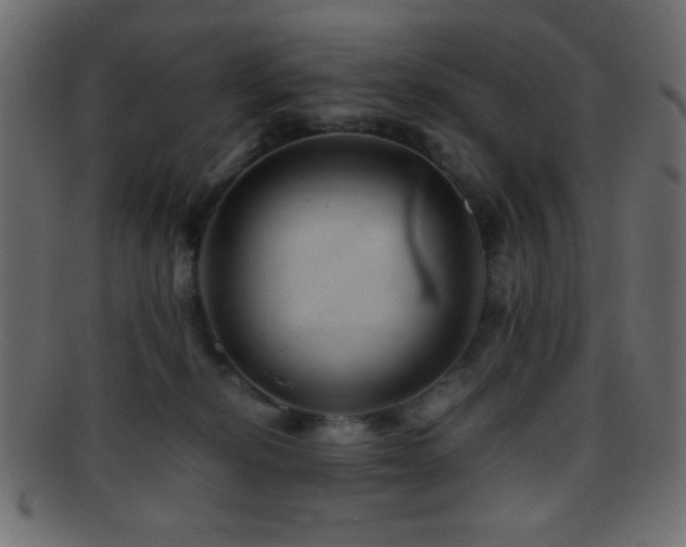 X0000095690278200801081254