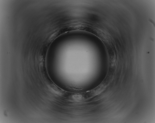 X0000095690279200801081254