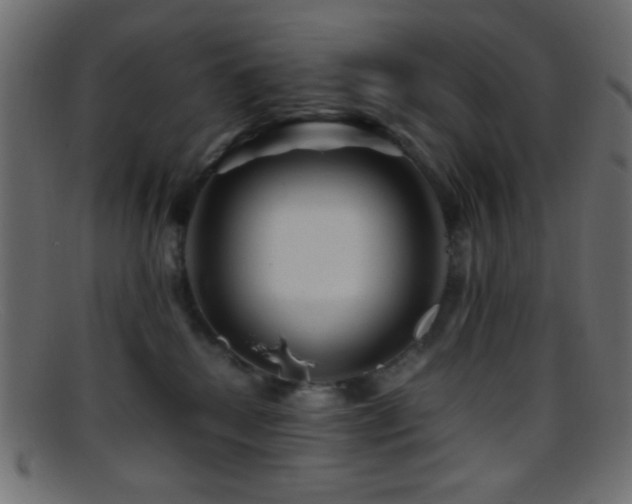 X0000095690280200801081254
