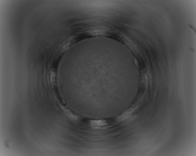 X0000095690281200801081254
