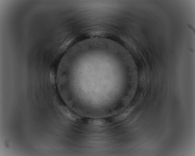X0000095690282200801081254