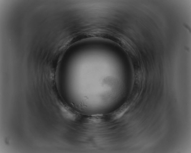 X0000095690284200801081254