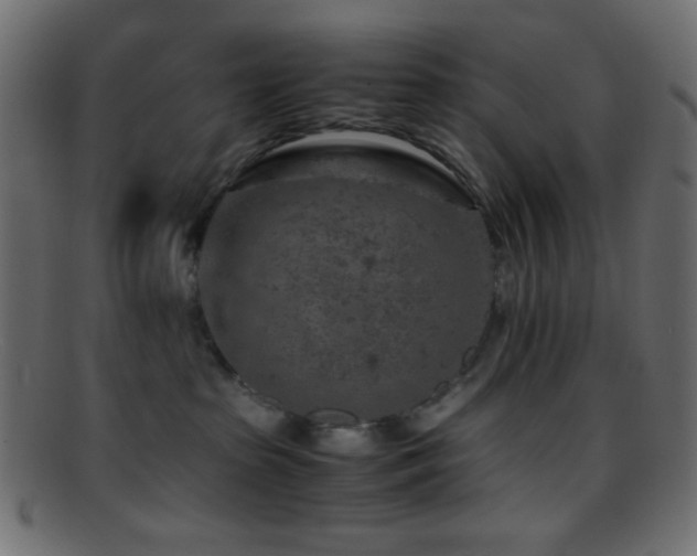 X0000095690285200801081254