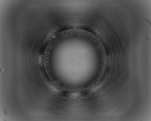 X0000095690286200801081254