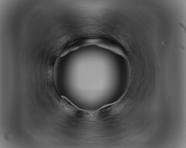 X0000095690288200801081254