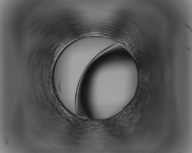X0000095690289200801081254