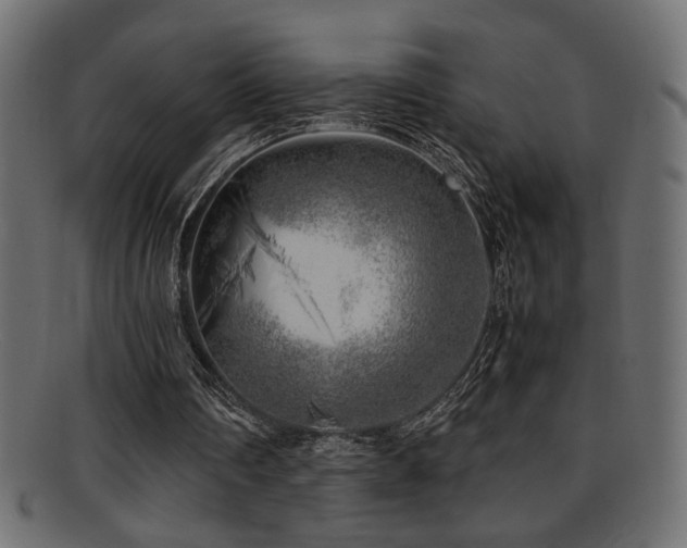 X0000095690290200801081254