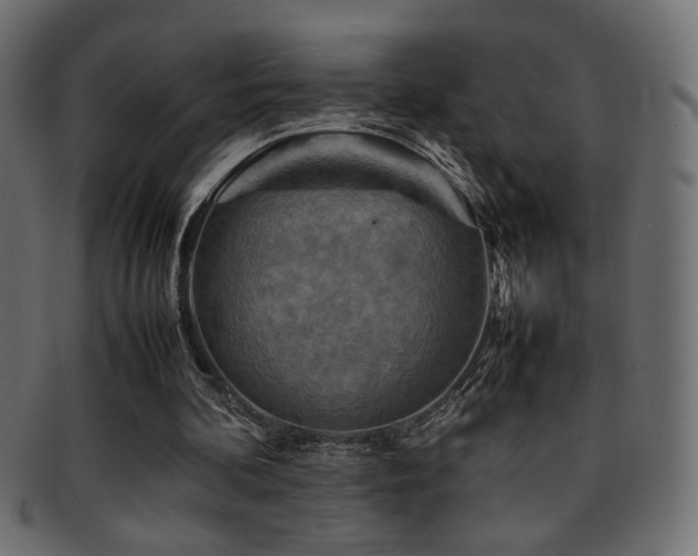 X0000095690292200801081254