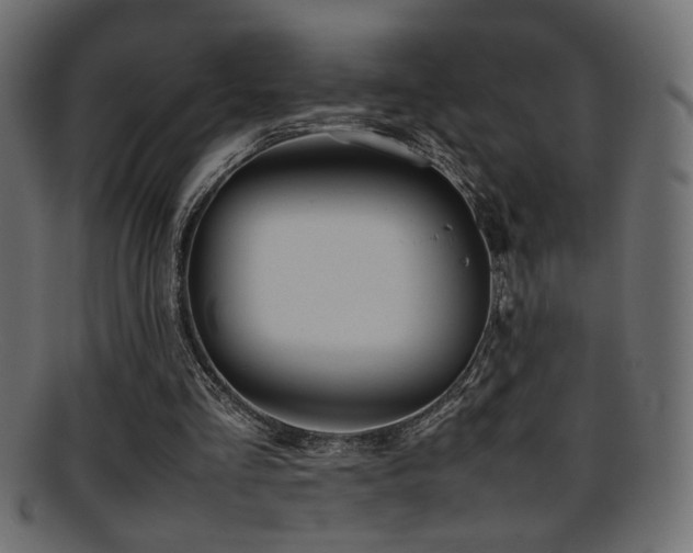 X0000095690293200801081254