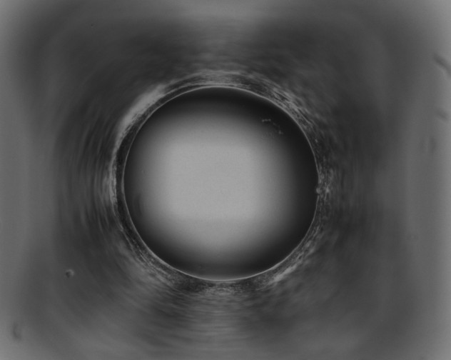 X0000095690294200801081254