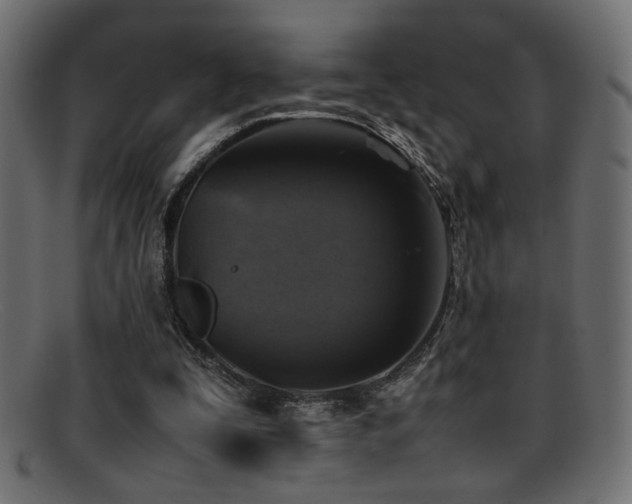 X0000095690295200801081254
