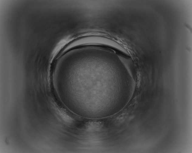 X0000095690296200801081254