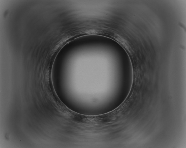 X0000095690297200801081254