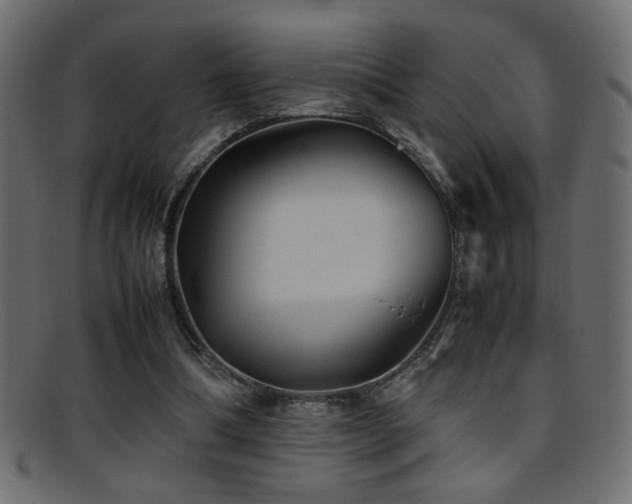 X0000095690298200801081254