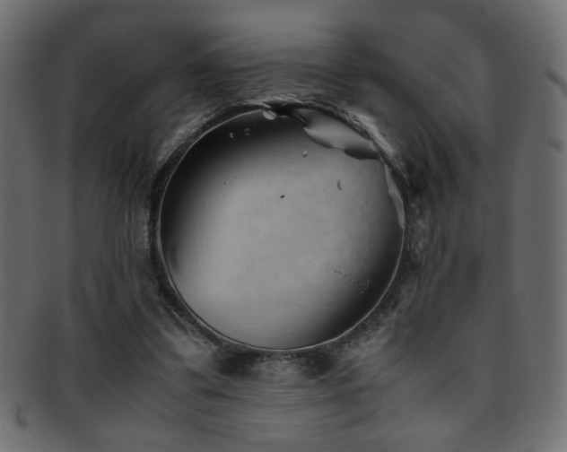 X0000095690299200801081254