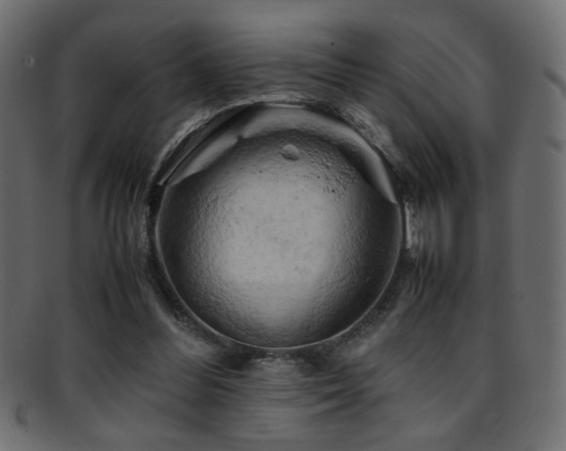 X0000095690300200801081254