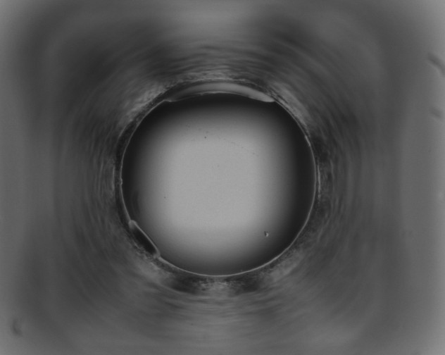 X0000095690301200801081254