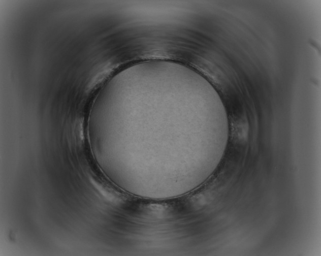 X0000095690302200801081254