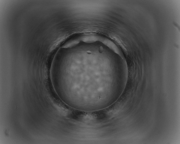 X0000095690303200801081254