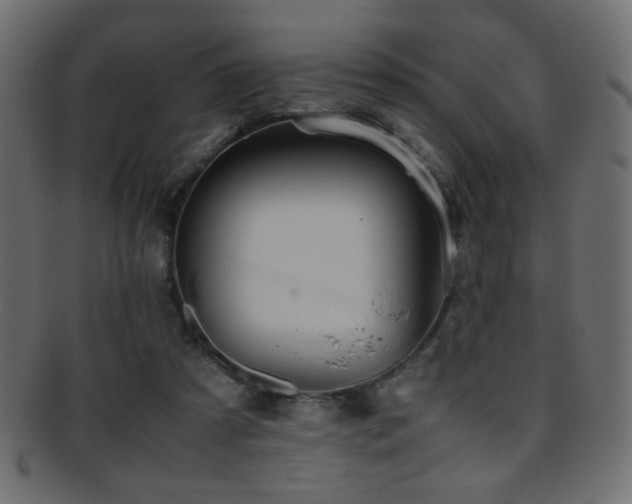 X0000095690305200801081254