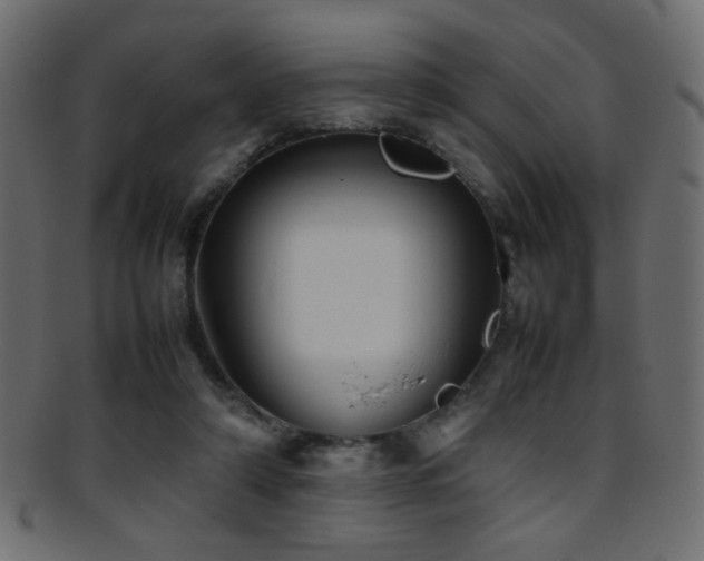 X0000095690306200801081254