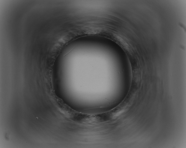 X0000095690307200801081254