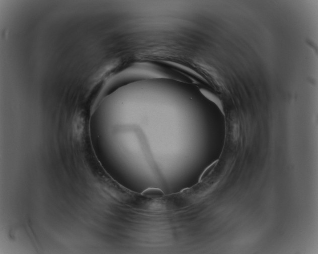 X0000095690308200801081254