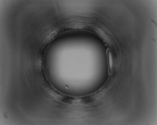 X0000095690309200801081253