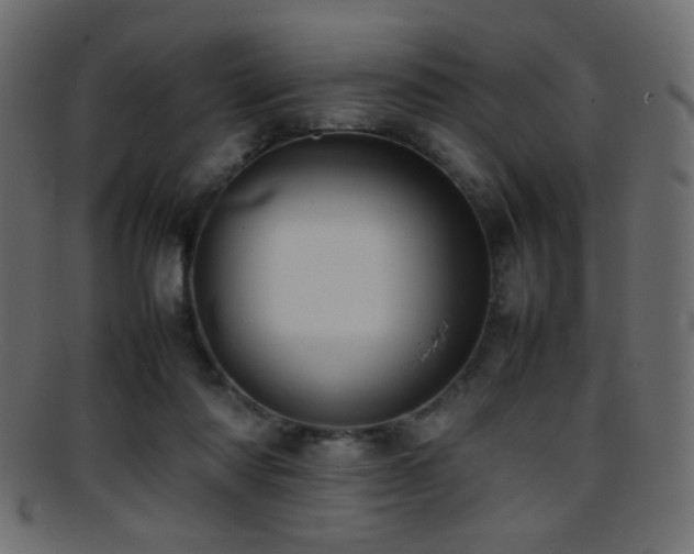 X0000095690310200801081253