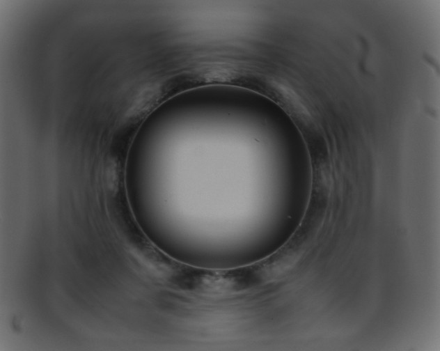 X0000095690311200801081253