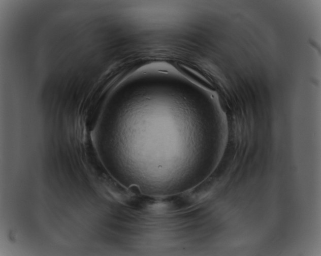 X0000095690312200801081253