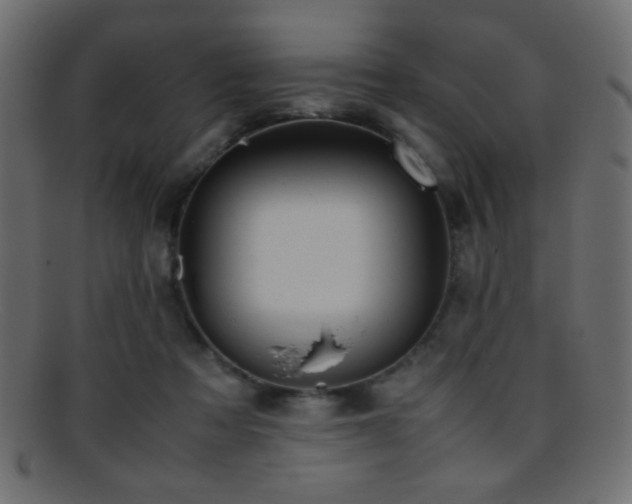 X0000095690313200801081253