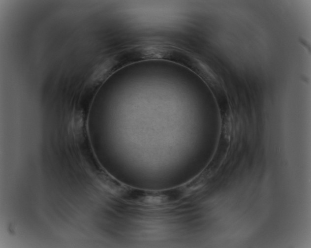 X0000095690314200801081253
