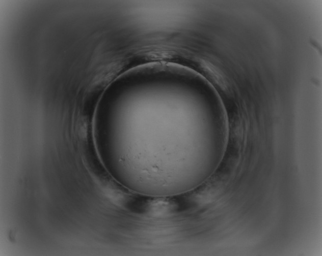 X0000095690315200801081253