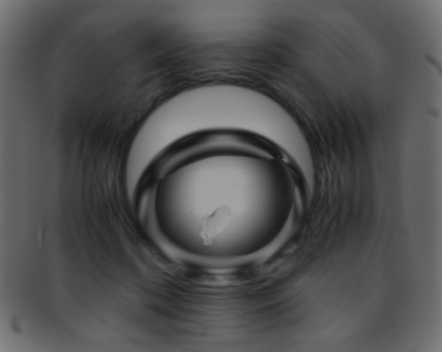 X0000095690316200801081253