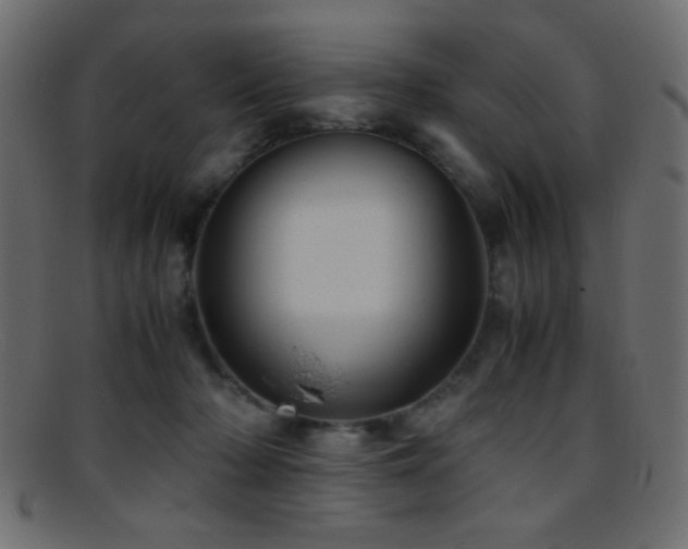 X0000095690318200801081253