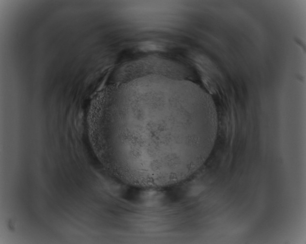 X0000095690319200801081253