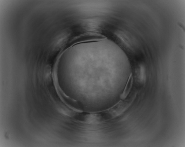 X0000095690320200801081253