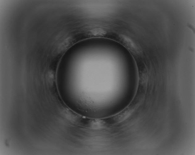 X0000095690321200801081253