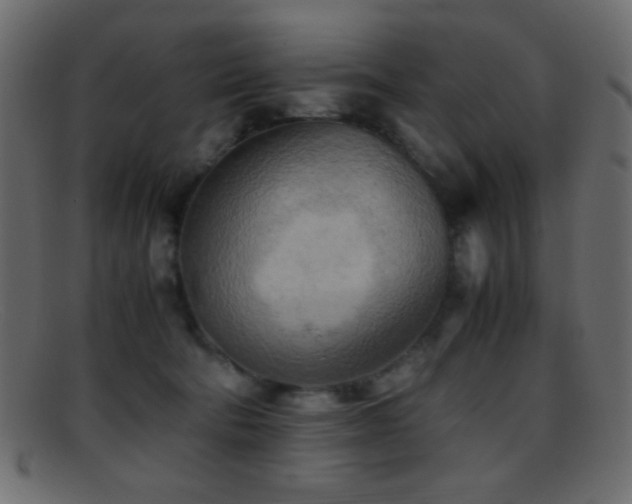 X0000095690322200801081253
