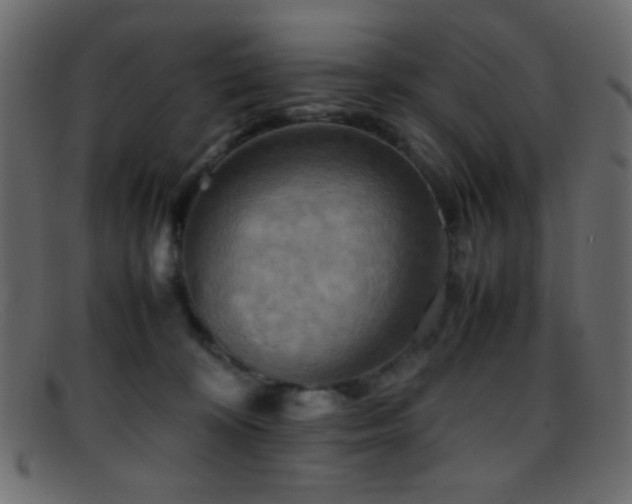 X0000095690324200801081253