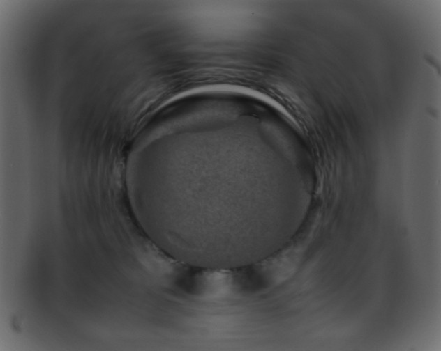 X0000095690325200801081253