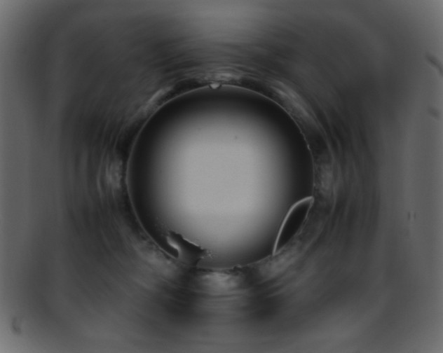 X0000095690326200801081253