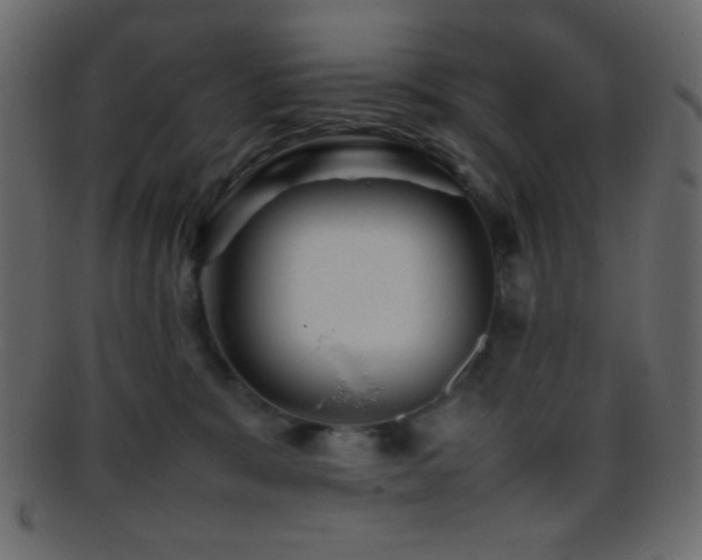 X0000095690327200801081253