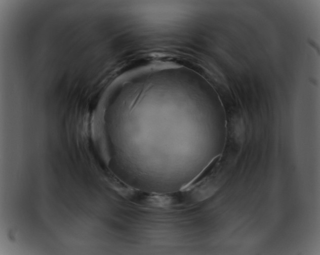 X0000095690328200801081253