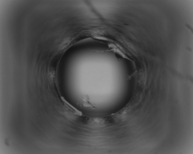 X0000095690329200801081253