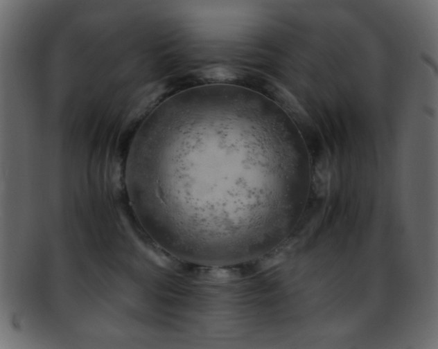 X0000095690330200801081253