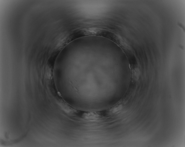X0000095690331200801081253
