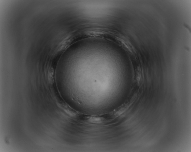 X0000095690332200801081253